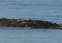 P1020994