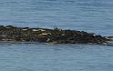 P1020995