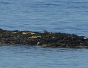 P1020996
