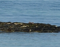 P1020998
