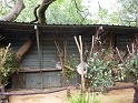 P1030065