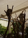 P1030081