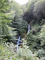 IMG_0979
