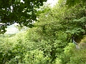P1030128