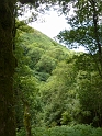 P1030132