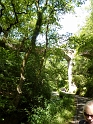 P1030140