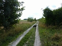 P1030324