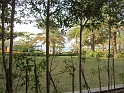 IMG_1018