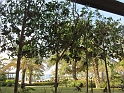 IMG_1021
