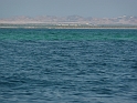 P1030522