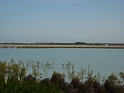 P1030538