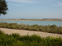 P1030547