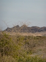 P1030568