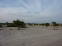 P1030569