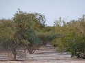 P1030572