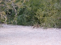 P1030578