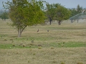 P1030586