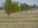 P1030587