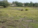 P1030648
