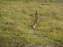 P1030650