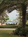 IMG_1055