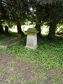 P1030931